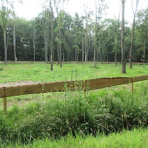 Bactrian Camel Exhibit