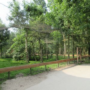 Mara/Scarlet Ibis/Roseate Spoonbill Exhibit