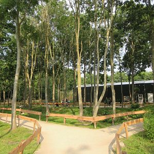 Ring-tailed Lemur Exhibit (walk-through)