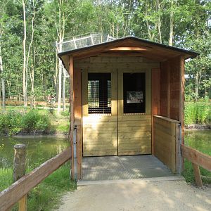 Squirrel Monkey Exhibit (walk-through)