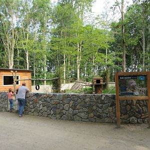Coati Exhibit