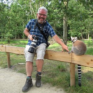 Zoo Nerd + Ring-tailed Lemur