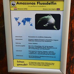 Signage Example at Duisburg, 17/06/19