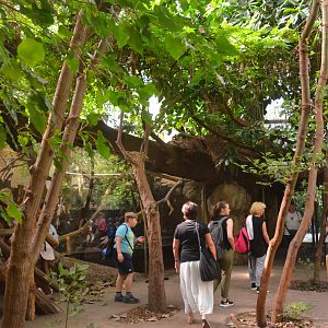 Rio Negro at Duisburg, 17/06/19
