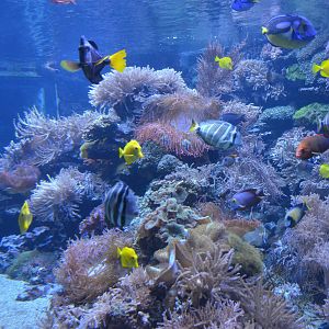 Aquarium at Duisburg, 17/06/19