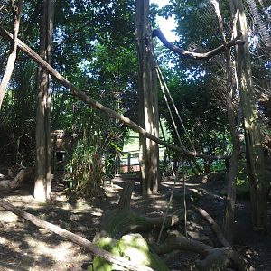Fossa Enclosure at Duisburg, 17/06/19