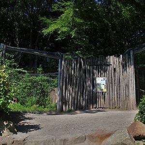 Wildcat Viewing at Duisburg, 17/06/19