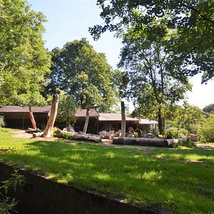 Bactrian Camel Enclosure at Duisburg, 17/06/19