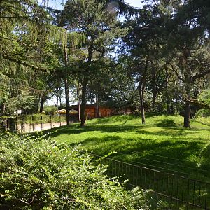 Wallaroo and Swamp Wallaby Enclosure at Duisburg, 17/06/19