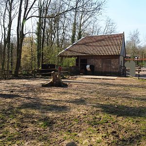 Traditional Limburg farm yard - Miniature donkey paddock, 2019-03-30