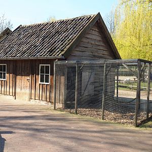 Traditional Limburg farm yard - Chicken coop and aviary, 2019-03-30