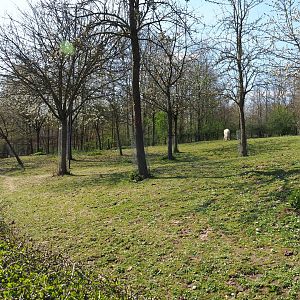 Traditional Limburg farm yard  - Shetland pony paddock, 2019-03-30
