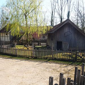 Traditional Limburg farm yard - Domestic guinea pig and rabbit yard and barn, 2019-03-30