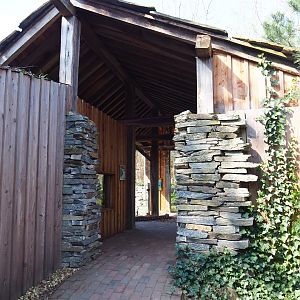North American beaver and Hermann's tortoise shelter, 2019-03-30