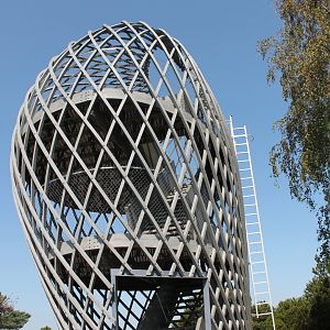 Observation Platform