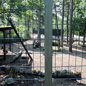 Reindeer Enclosure