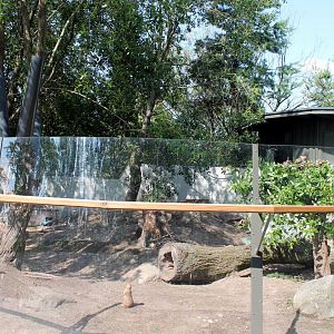 Prairie Dog Enclosure