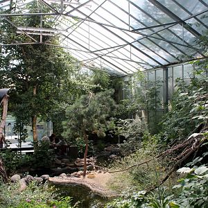 Borealia House/Aviary