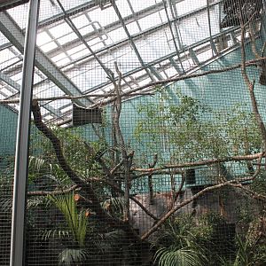 Margay Enclosure