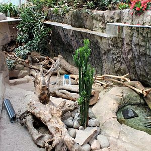 Mongoose Enclosure