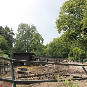 Boar Enclosure