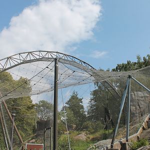 Vulture Aviary