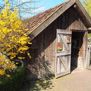 Traditional Limburg farm yard - Domestic guinea pig and rabbit barn, 2019-03-30