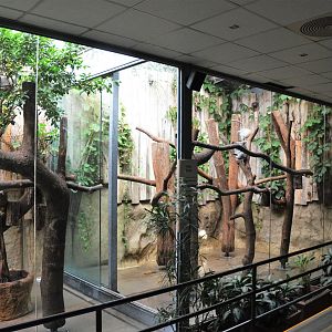 Koala Enclosures at Duisburg, 17/06/19