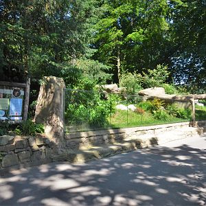 Tasmanian Devil Enclosure at Duisburg, 17/06/19
