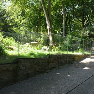 Tasmanian Devil Enclosure at Duisburg, 17/06/19