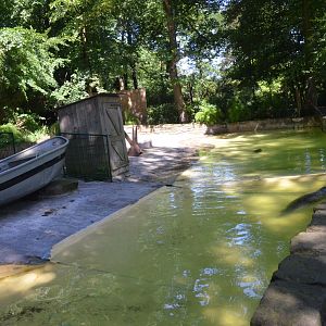 Common Seal Enclosure at Duisburg, 17/06/19