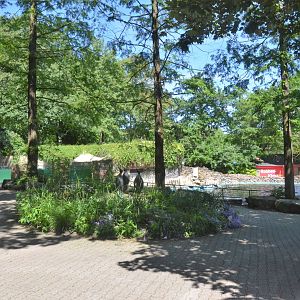View to Sea Lions and Penguins at Duisburg, 17/06/19