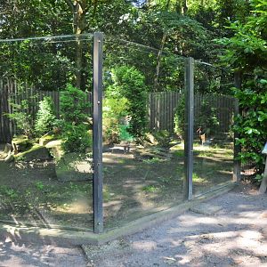 Black Stork Enclosure (Former Arctic Fox Enclosure) at Duisburg, 17/06/19