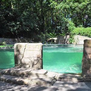 Black-footed Penguin Enclosure at Duisburg, 17/06/19