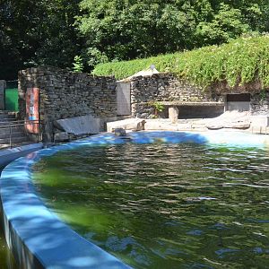 Sea Lion Enclosure at Duisburg, 17/06/19