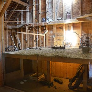 Enclosures for Rats and Barn Owls at Duisburg, 17/06/19