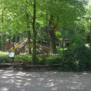 'Arctic' Wolf Enclosure at Duisburg, 17/06/19