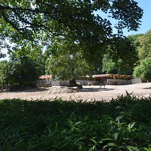 Damara Zebra Enclosure at Duisburg, 17/06/19
