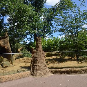 Meerkat Enclosure at Duisburg, 17/06/19