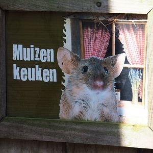 Traditional Limburg farm yard - Mouse kitchen sign, 2019-03-30