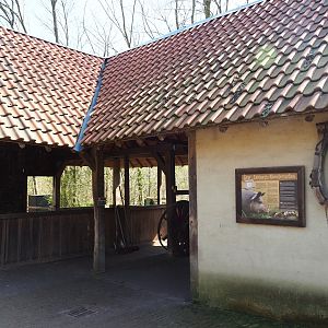 Traditional Limburg farm yard - Cow and pig barn, 2019-03-30