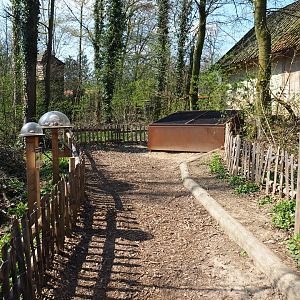 Forest area with fire salamander outdoor exhibits and educational displays, 2019-03-30