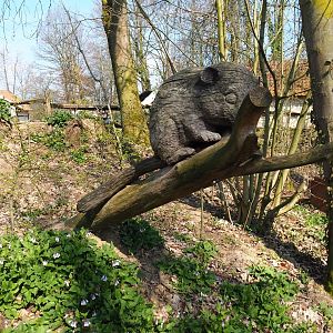Hazel dormouse wood carving, 2019-03-30
