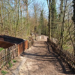 Forest area with fire salamander outdoor exhibits and educational displays, 2019-03-30