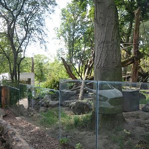 Coati Enclosure at Duisburg, 17/06/19