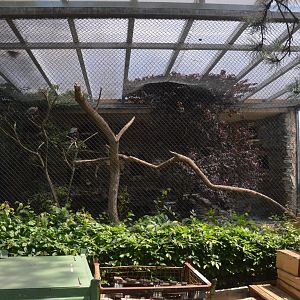 Ibis Aviary at Duisburg, 17/06/19