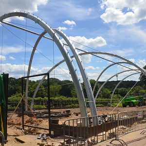 Aviary Construction at Duisburg, 17/06/19