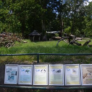Mixed Enclosure and Signage at Duisburg, 17/06/19