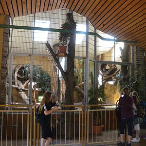 Fishing Cat Indoor Enclosure at Duisburg, 17/06/19