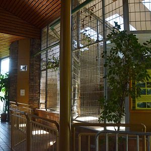 Lion Indoor Enclosure at Duisburg, 17/06/19